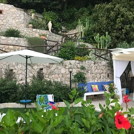 Lilium Di Lusso A San Vito Con Parcheggio E Privata *